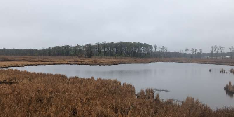 The featured photo for Observation Platform