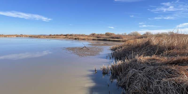 The featured photo for Boardwalk Trail
