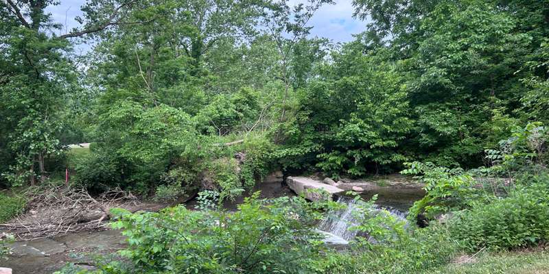 The featured photo for Wood Creek Fish Passage