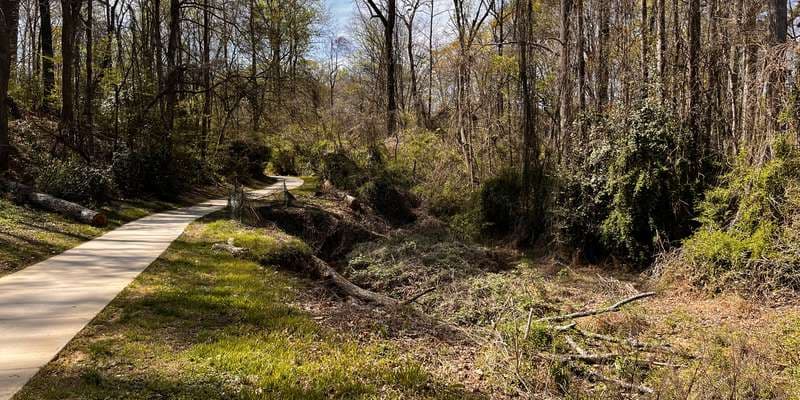 The featured photo for null