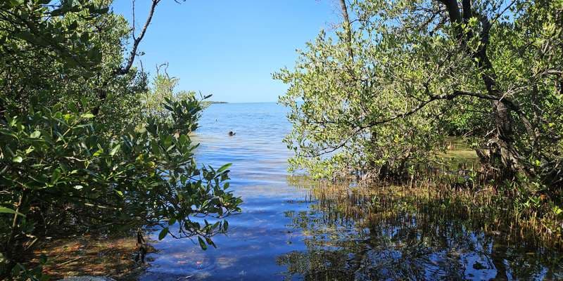 The featured photo for Florida Bay