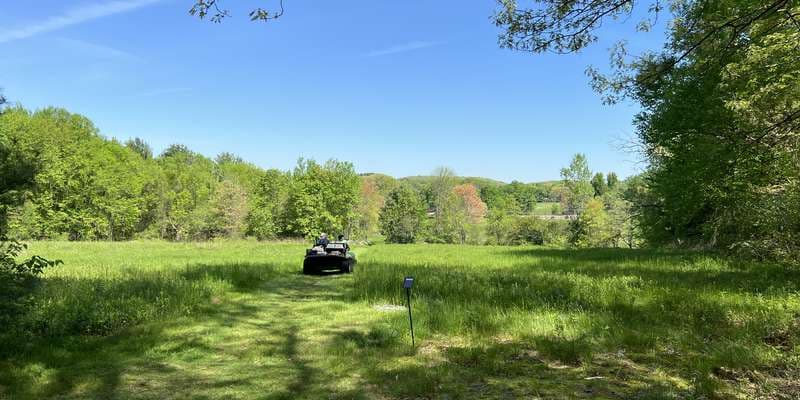 The featured photo for Beals Preserve Upper Meadow