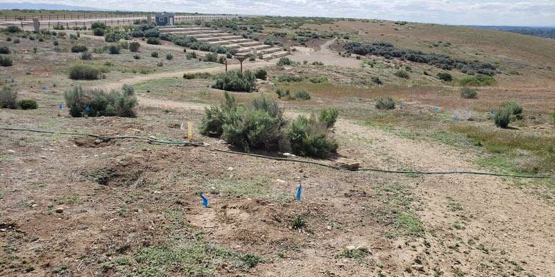 The featured photo for Raptor Ridge - Habitat Restoration Area