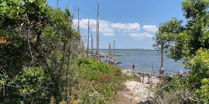 The featured photo for Soundside Loop Trail