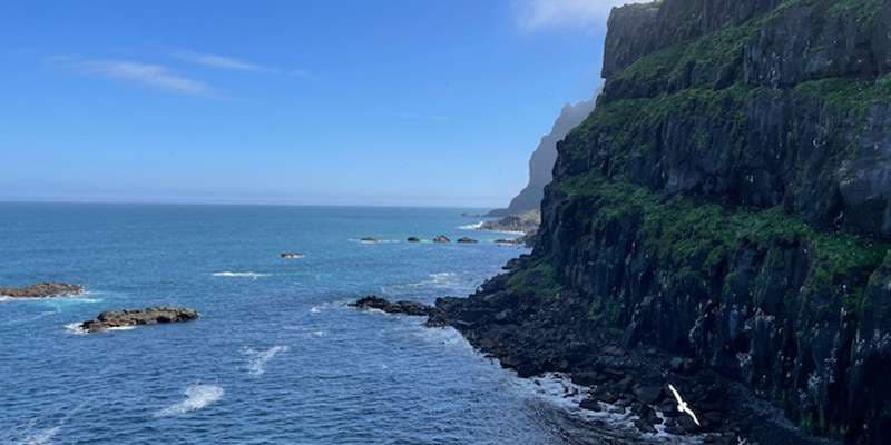 The featured photo for Skalanes TRN-001