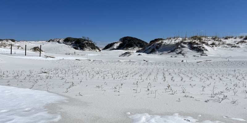 The featured photo for Eglin AFB - Matterhorn Dune Restoration Site