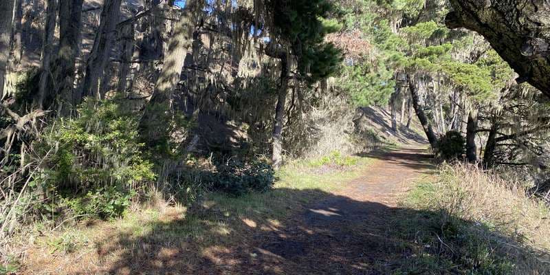 The featured photo for Ma-le'l Dunes