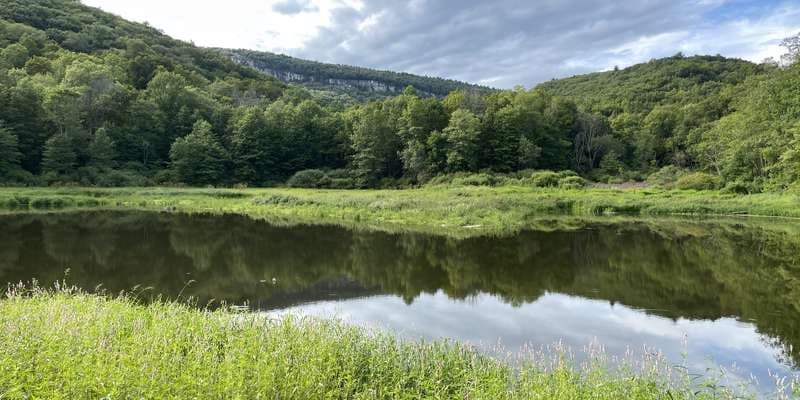 The featured photo for Kleine Kill Stream Restoration