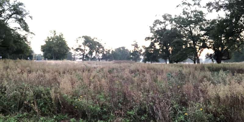 The featured photo for River Cliff Park