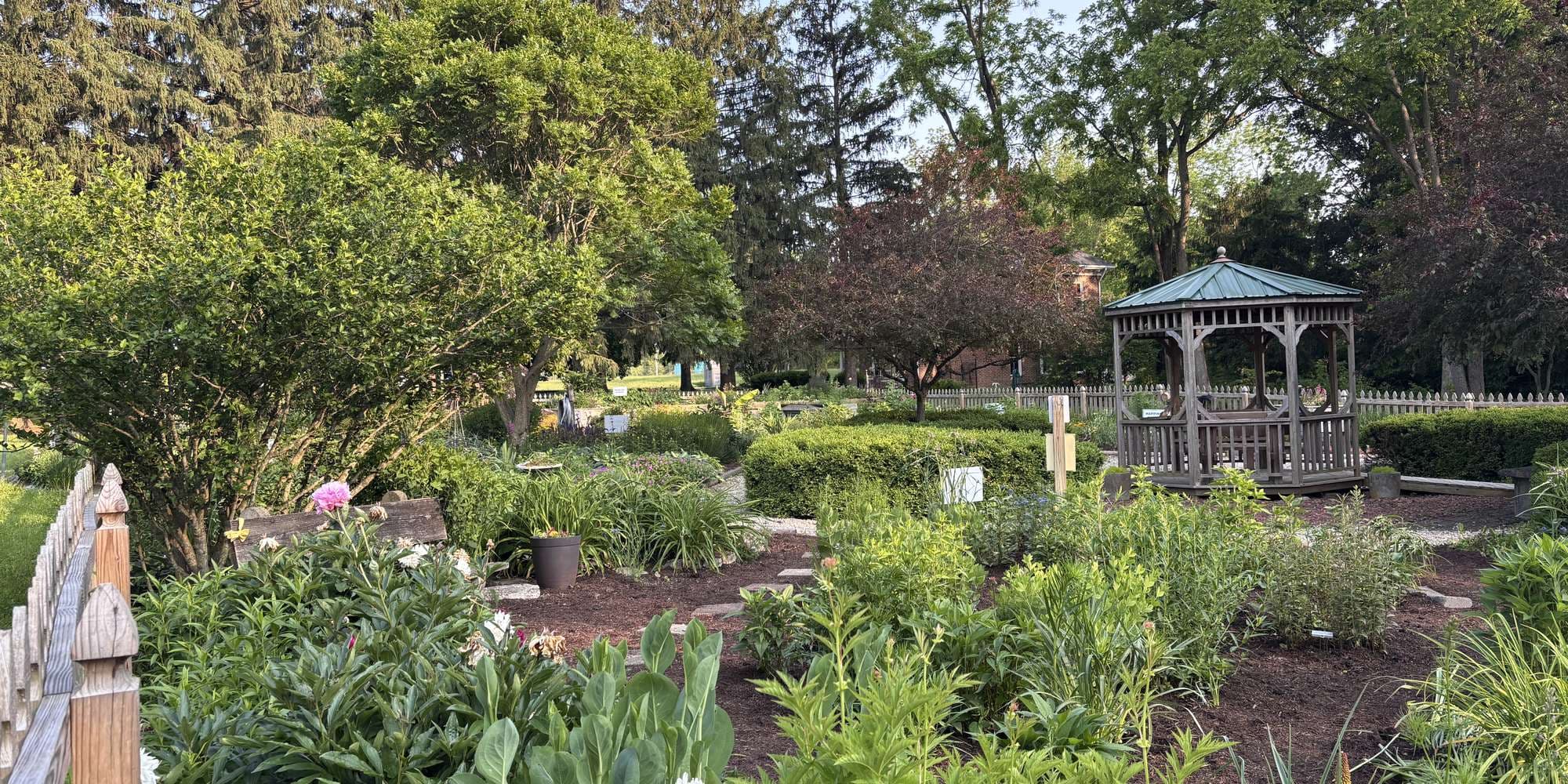 Second image to compare