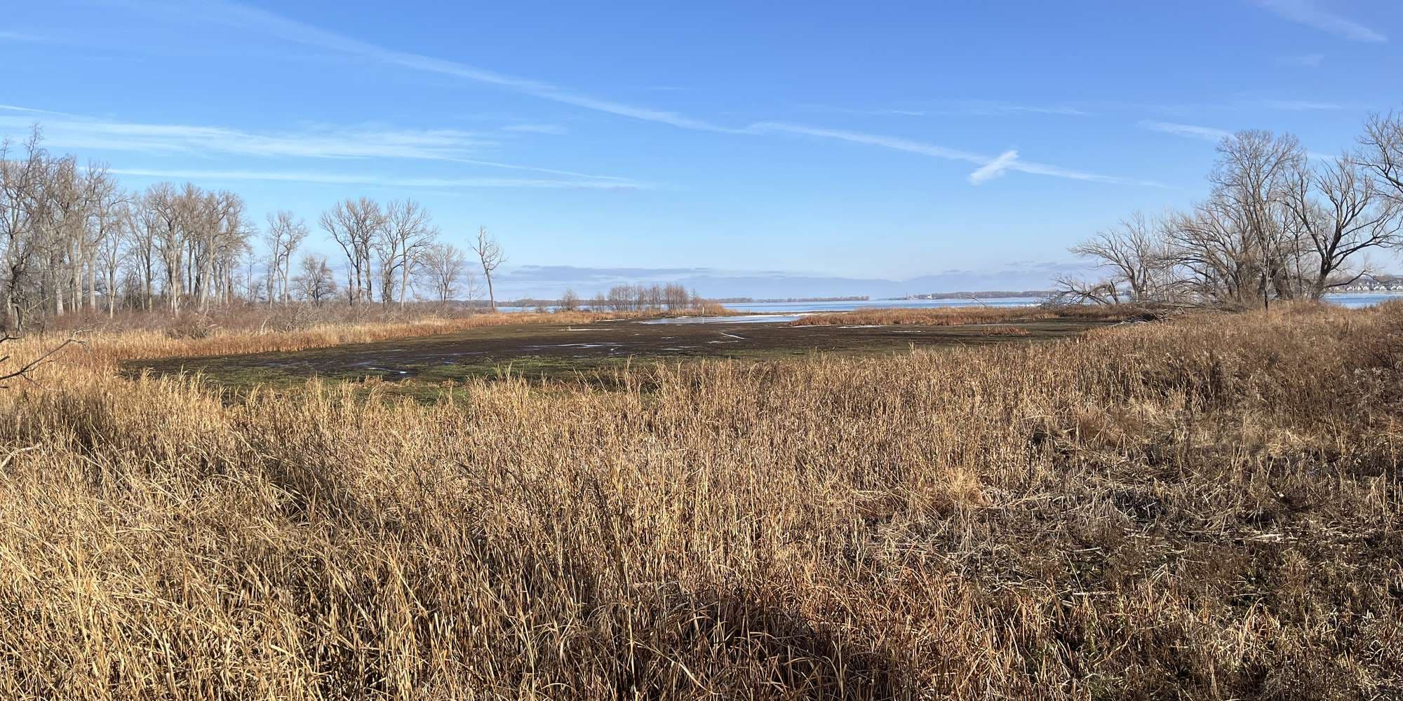 Second image to compare