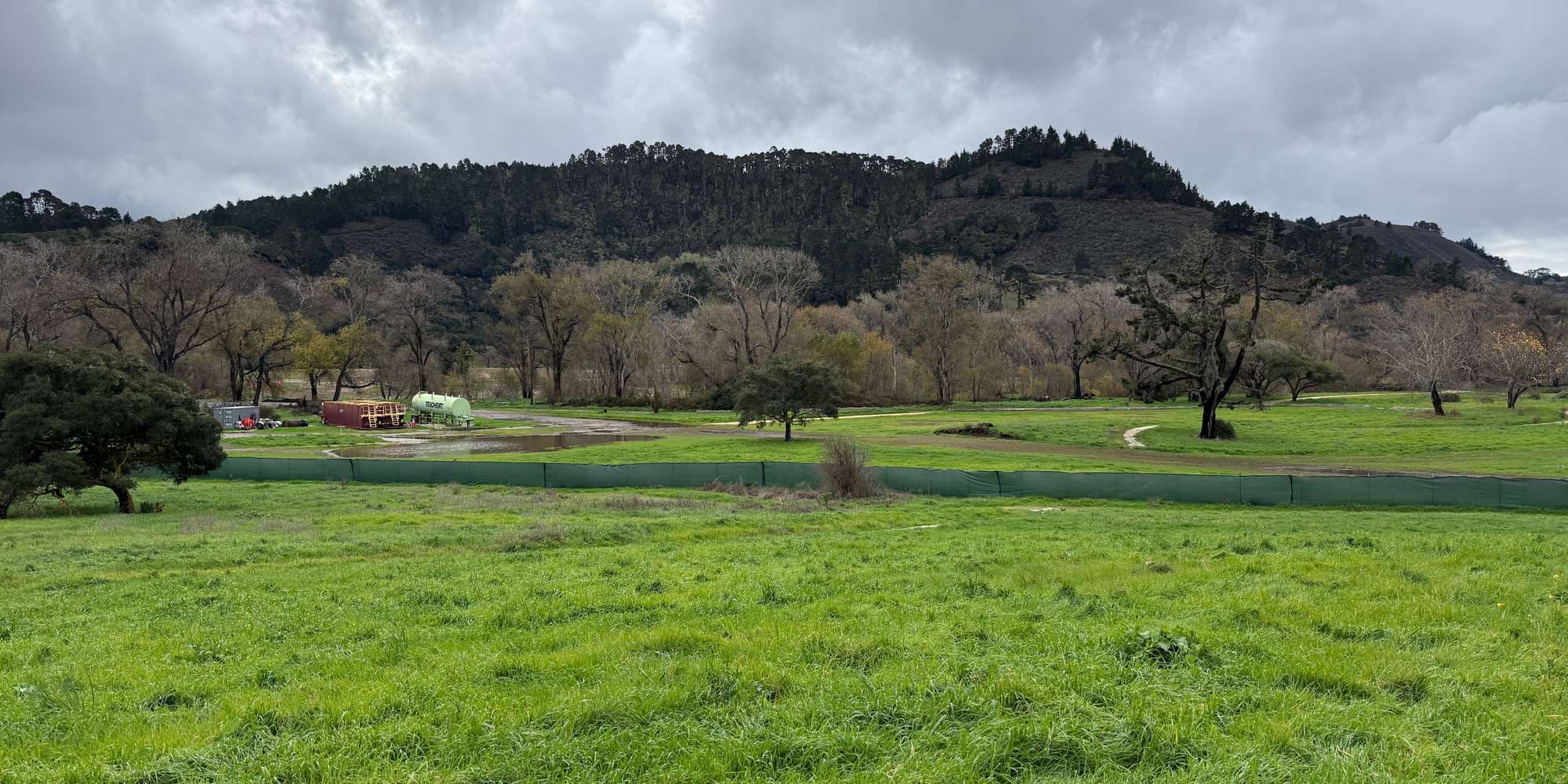 Second image to compare