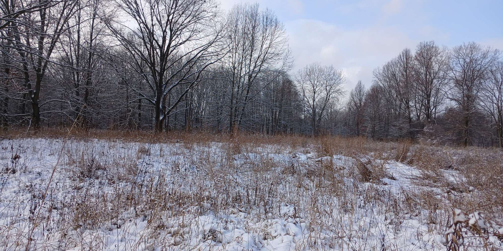 Second image to compare