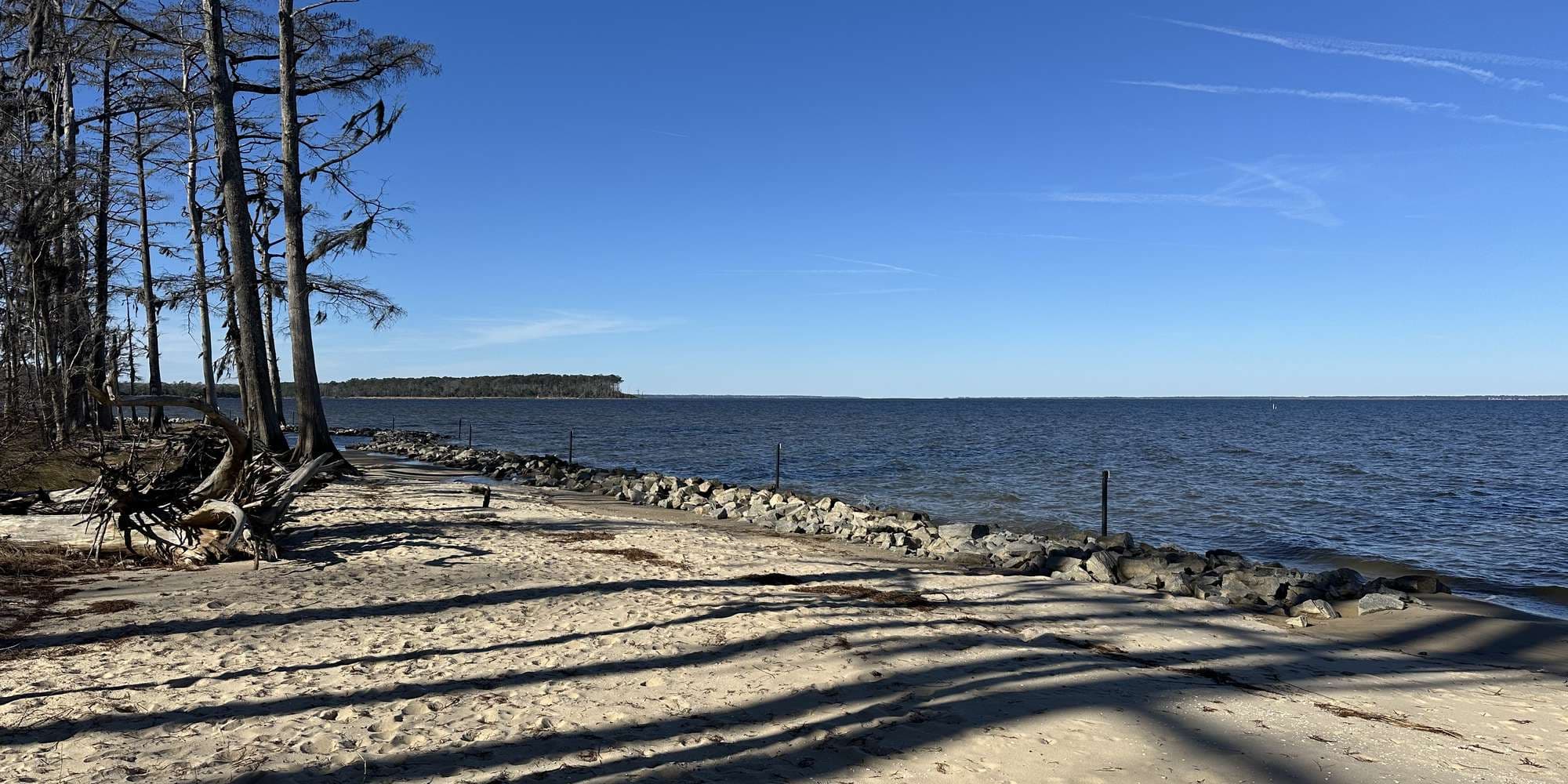 Second image to compare