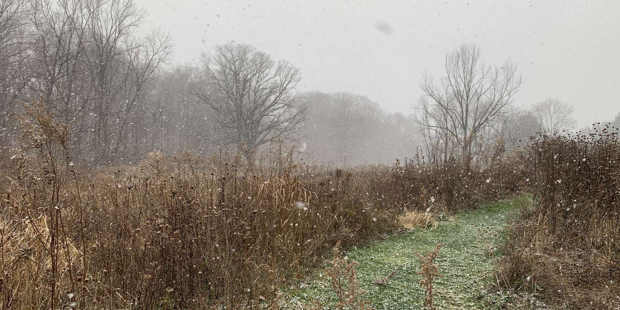 Second image to compare