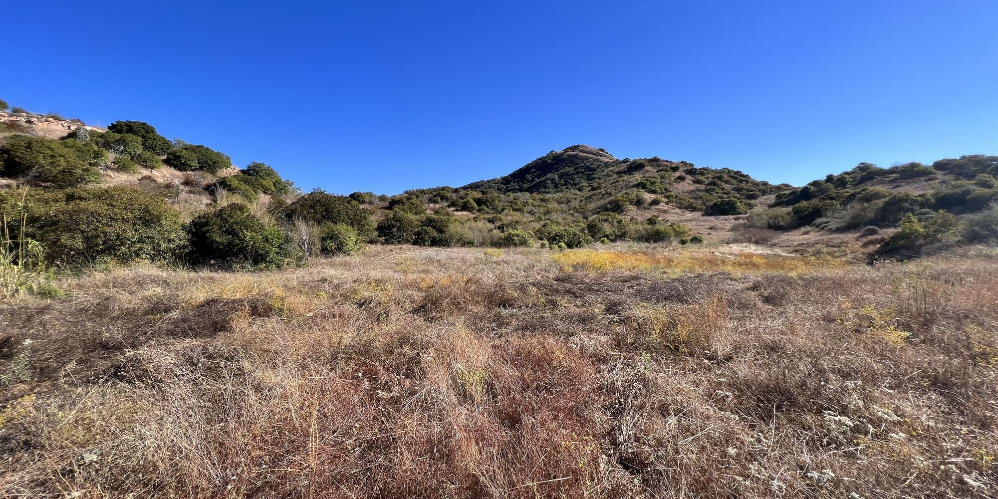 First image to compare