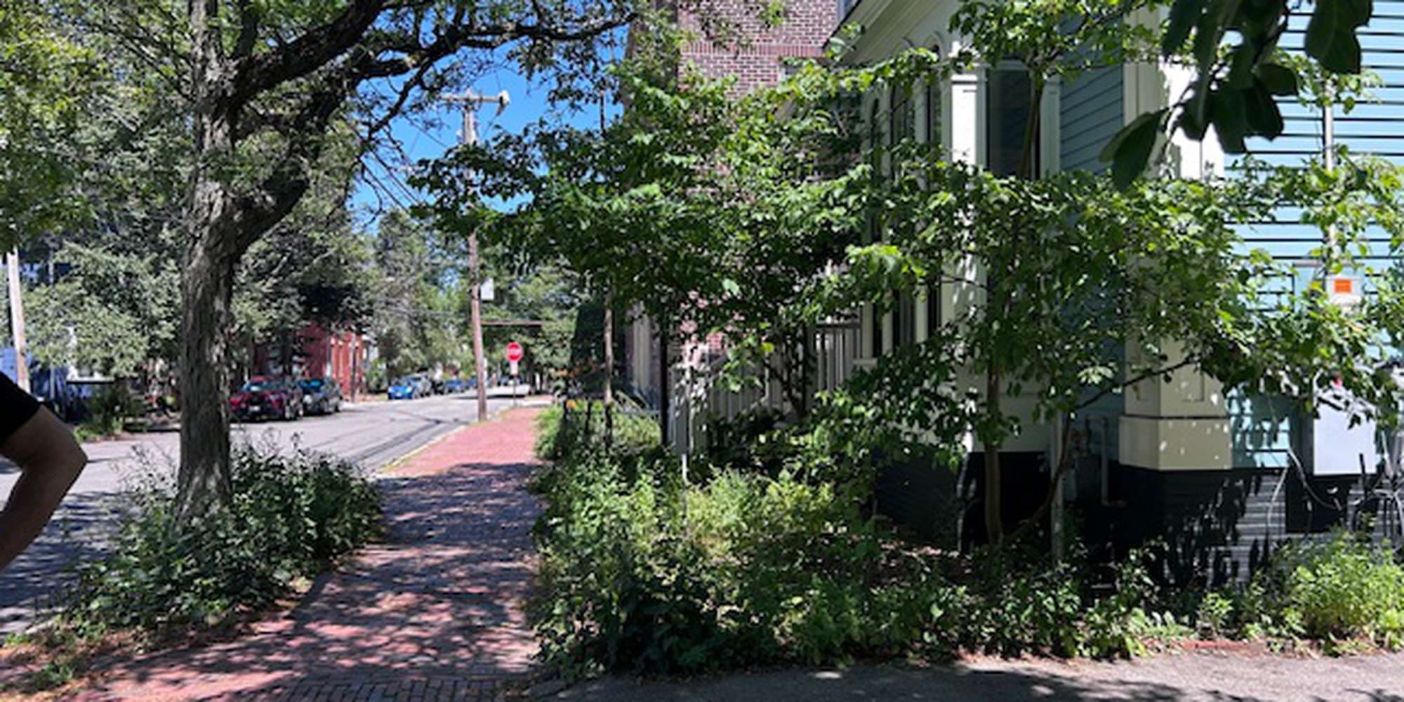 Second image to compare