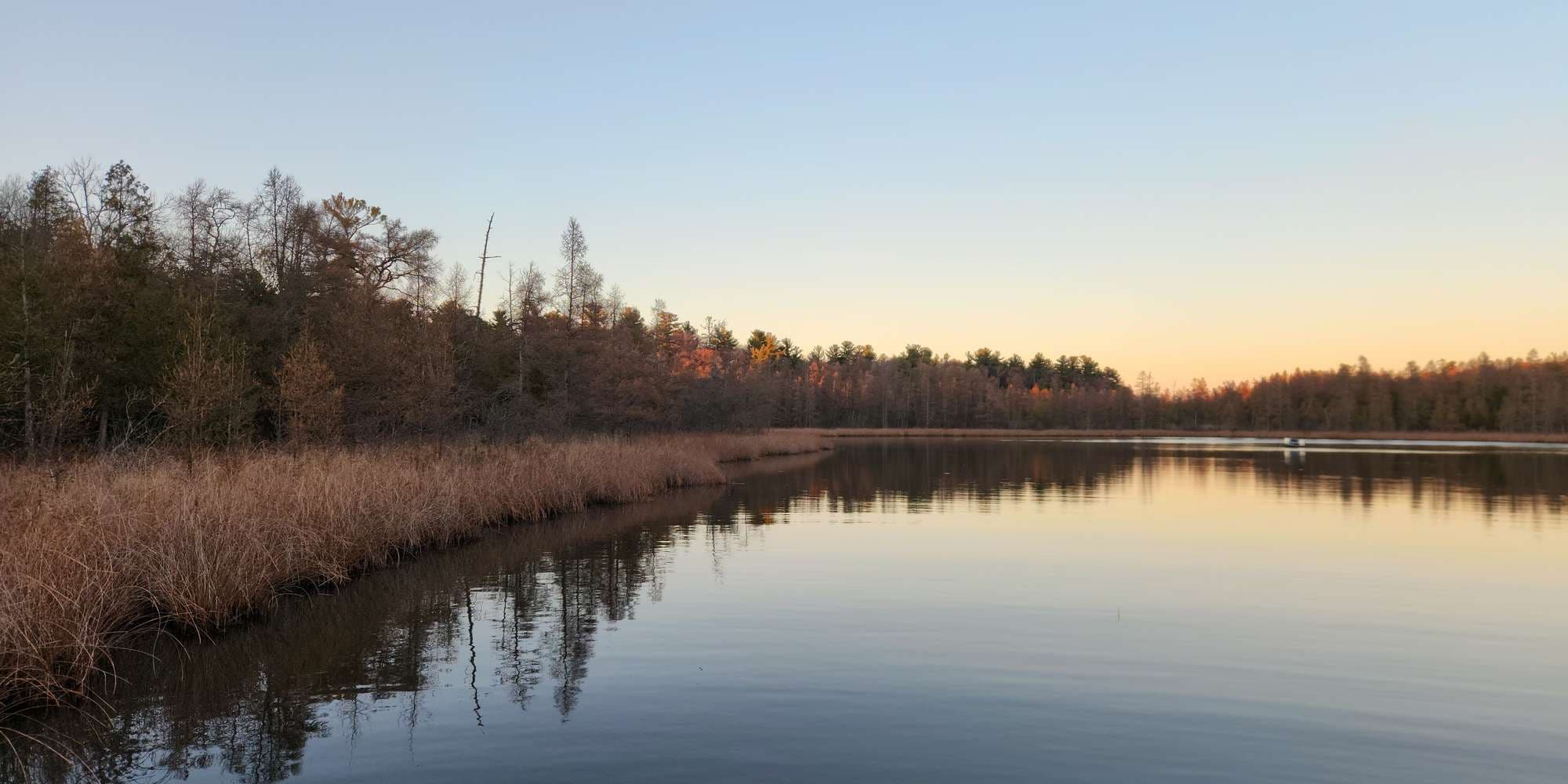 Second image to compare