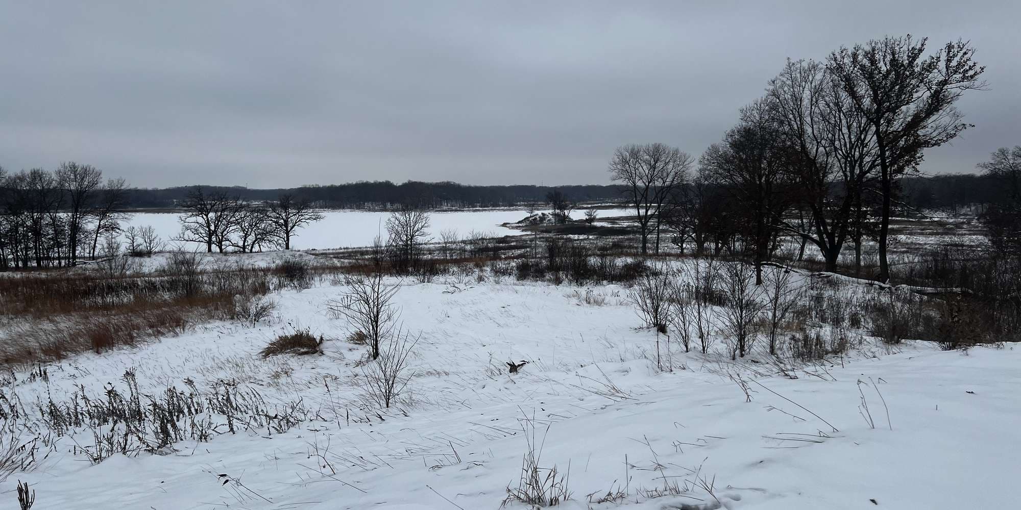 Second image to compare