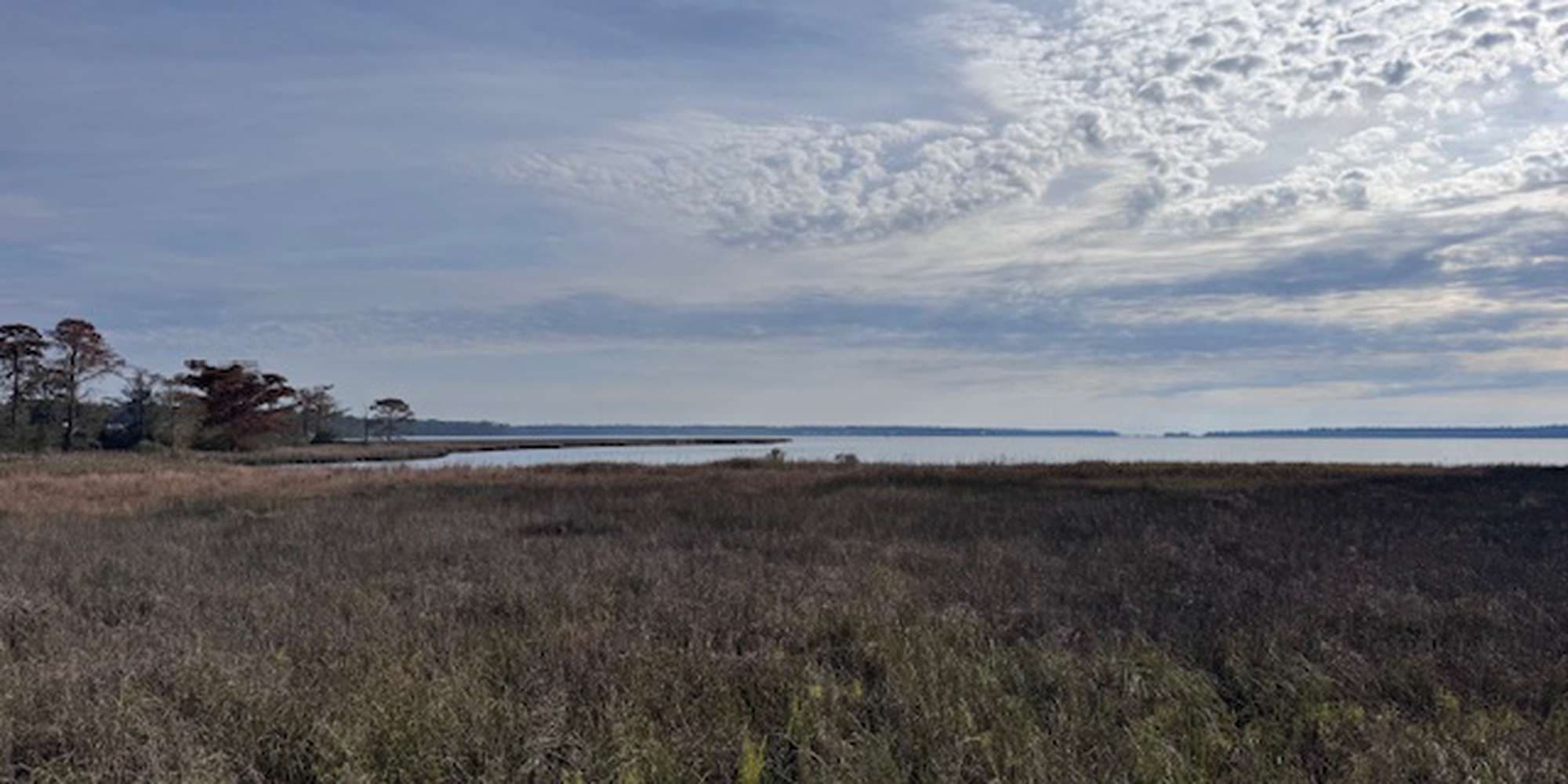 Second image to compare