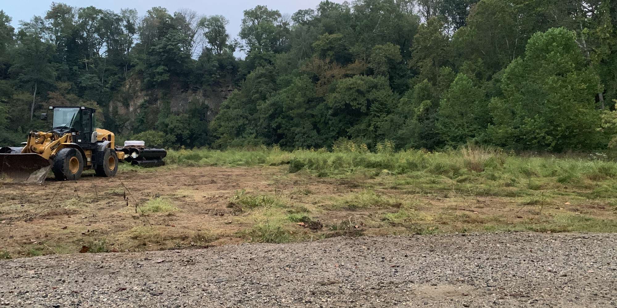 Second image to compare