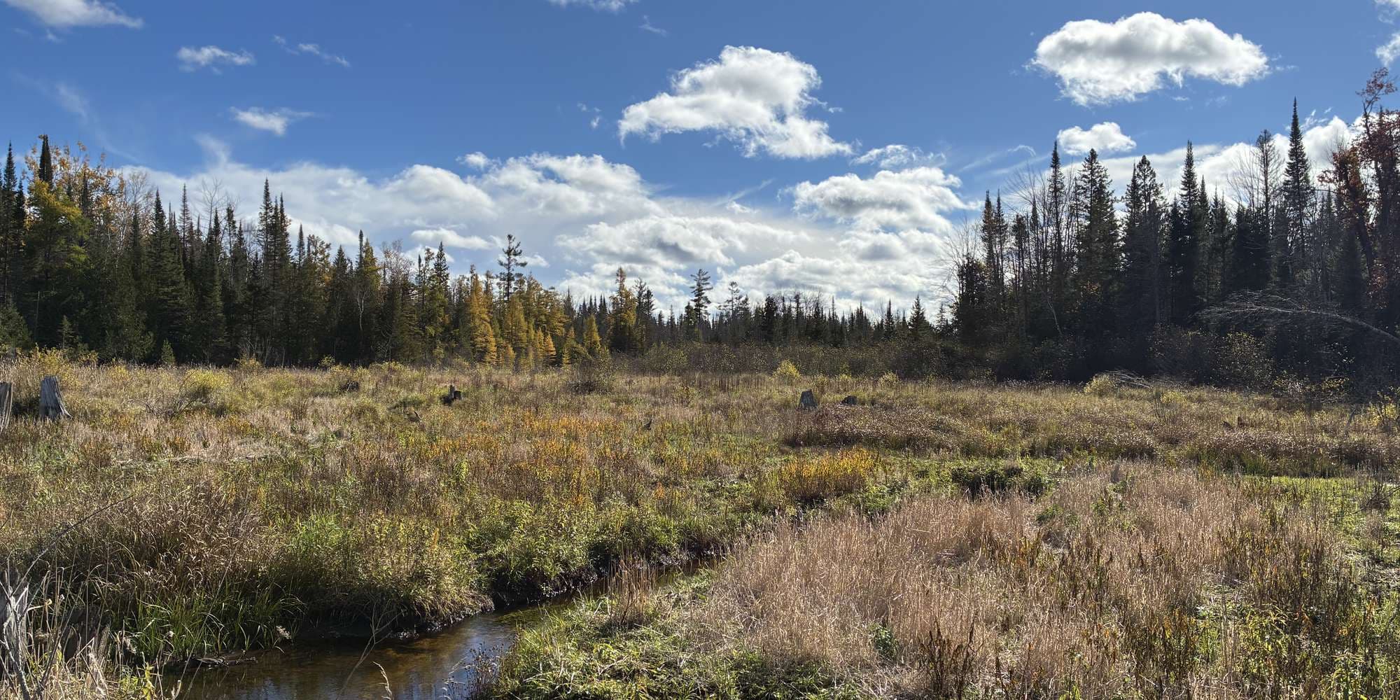 Second image to compare