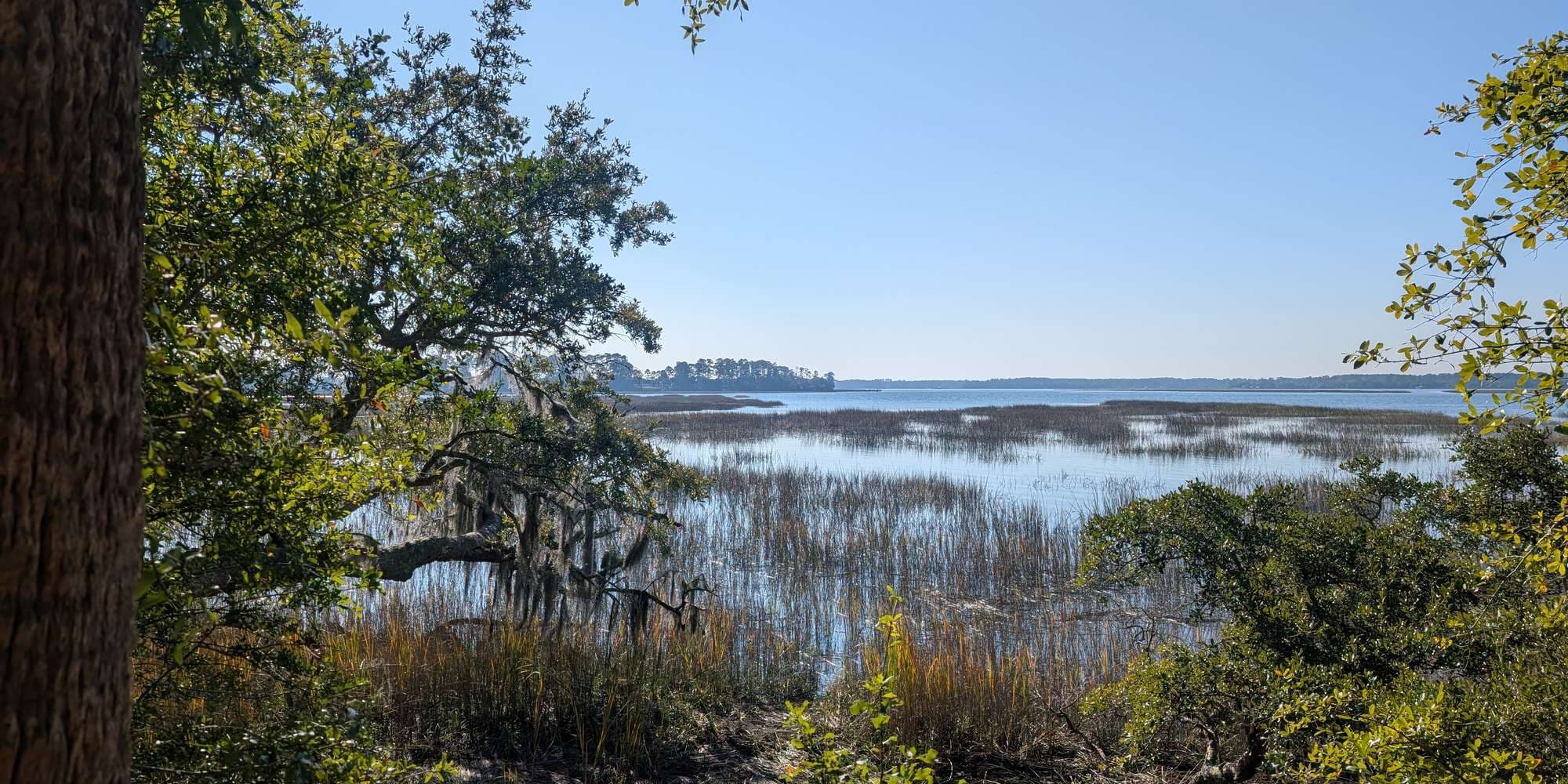 Second image to compare