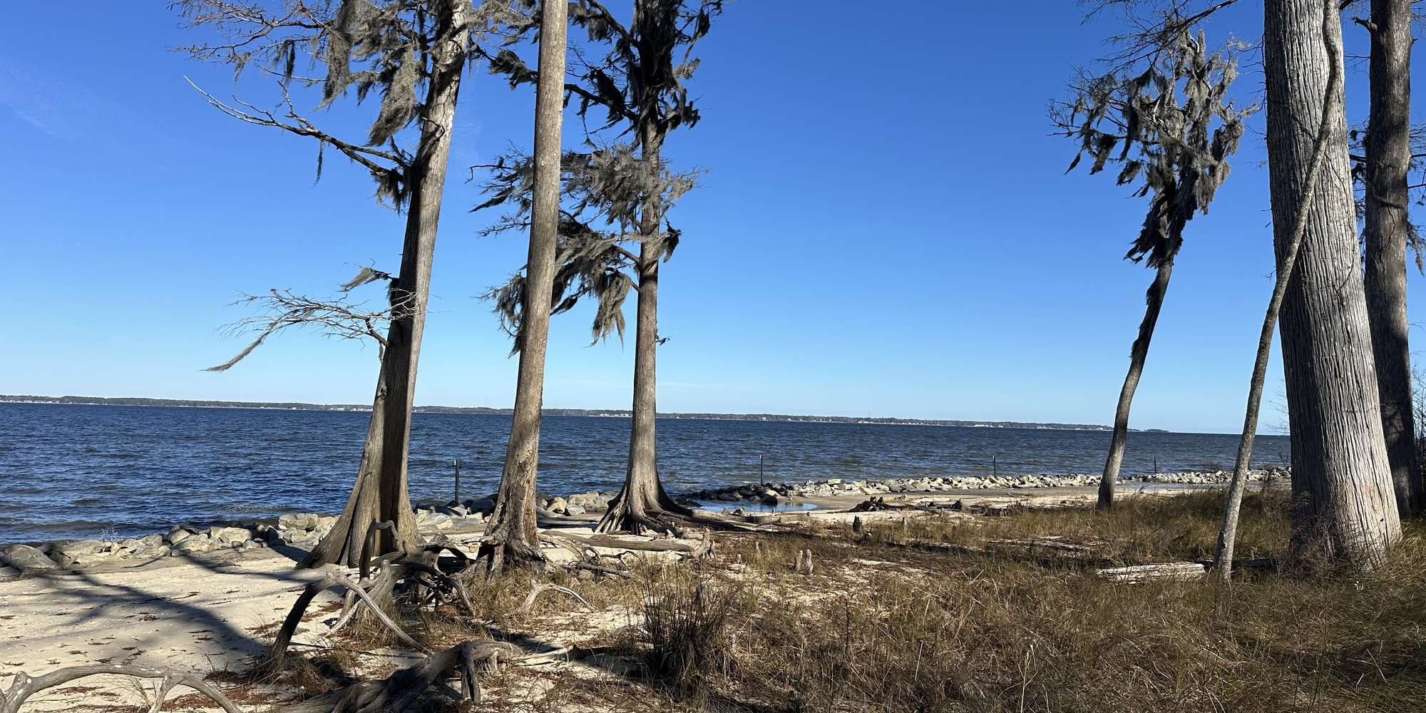 Second image to compare