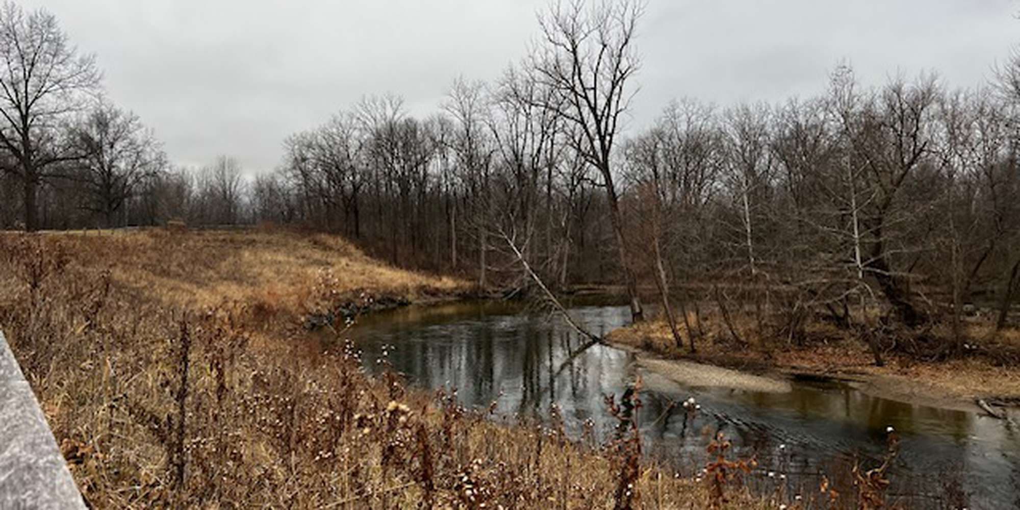 Second image to compare