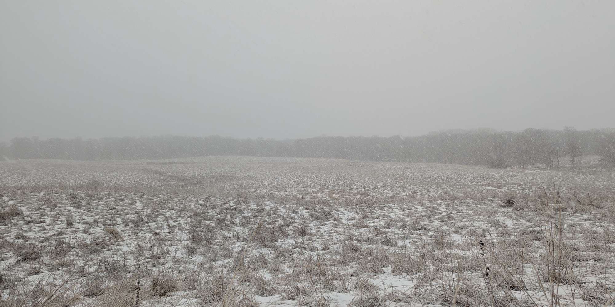 Second image to compare