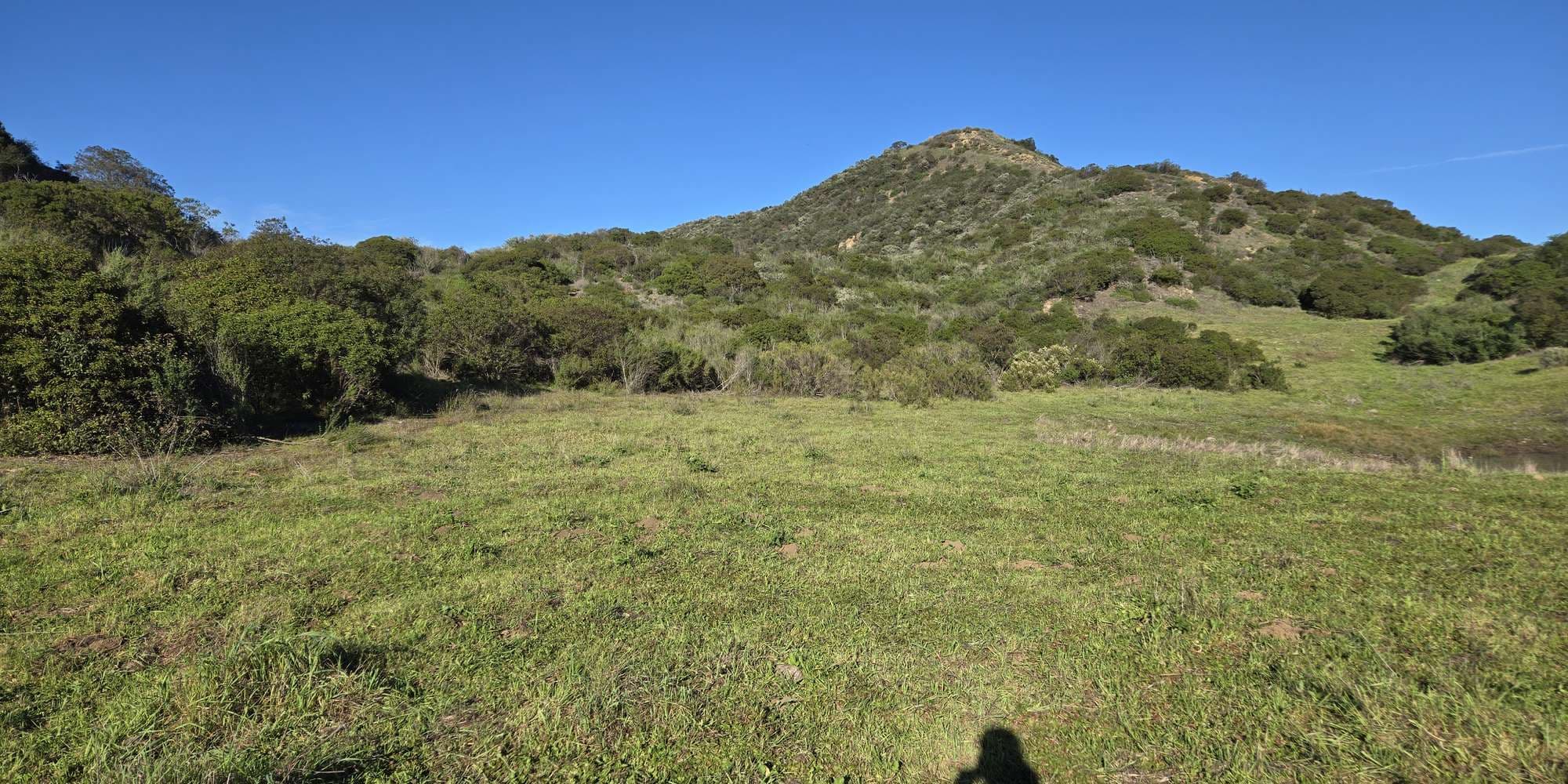 Second image to compare