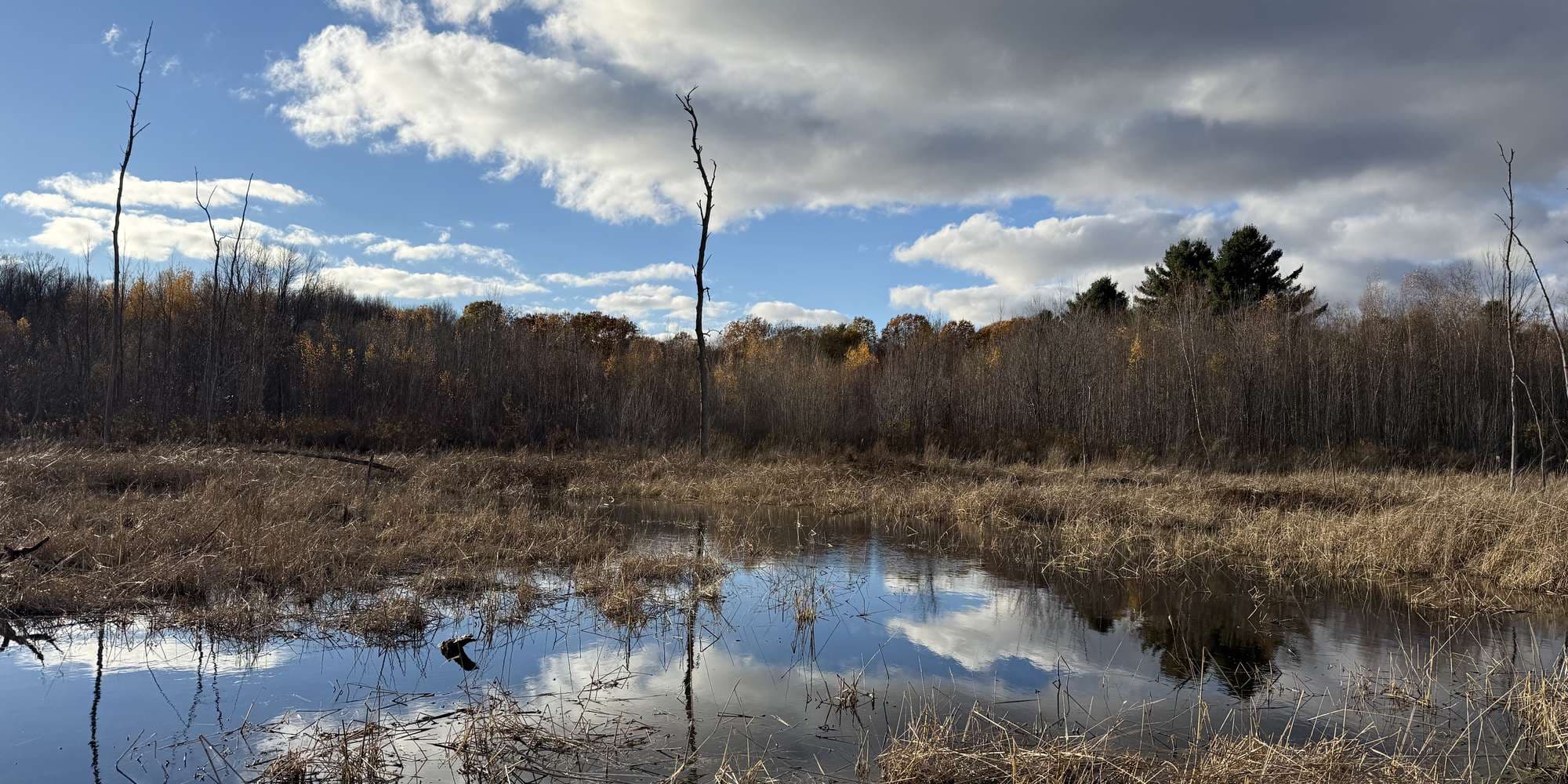 Second image to compare