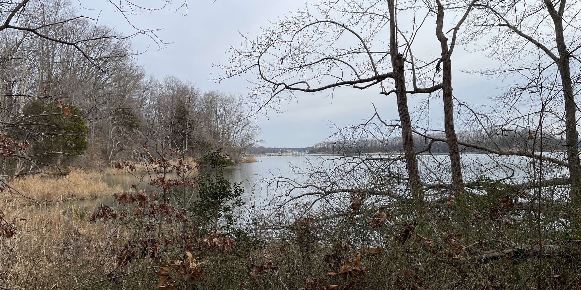 Second image to compare