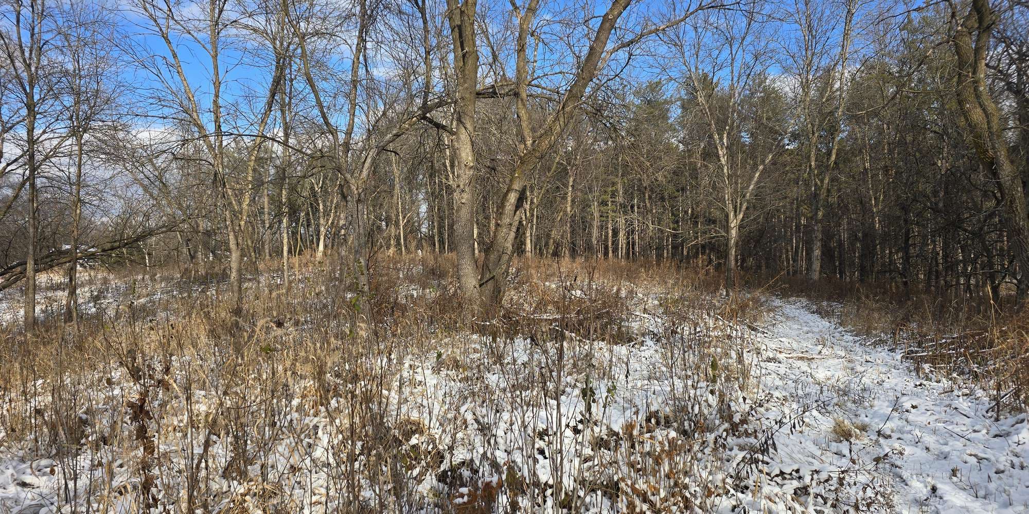 Second image to compare