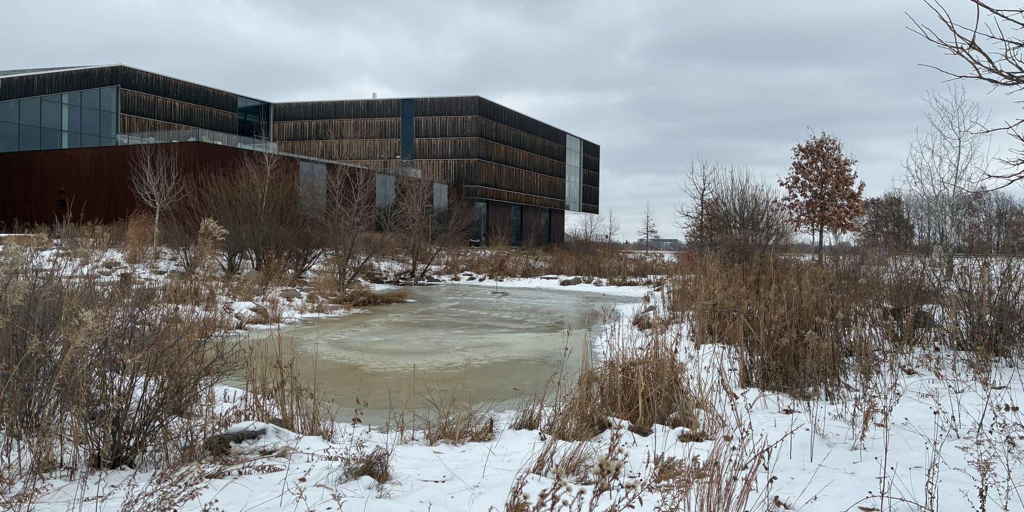 Second image to compare