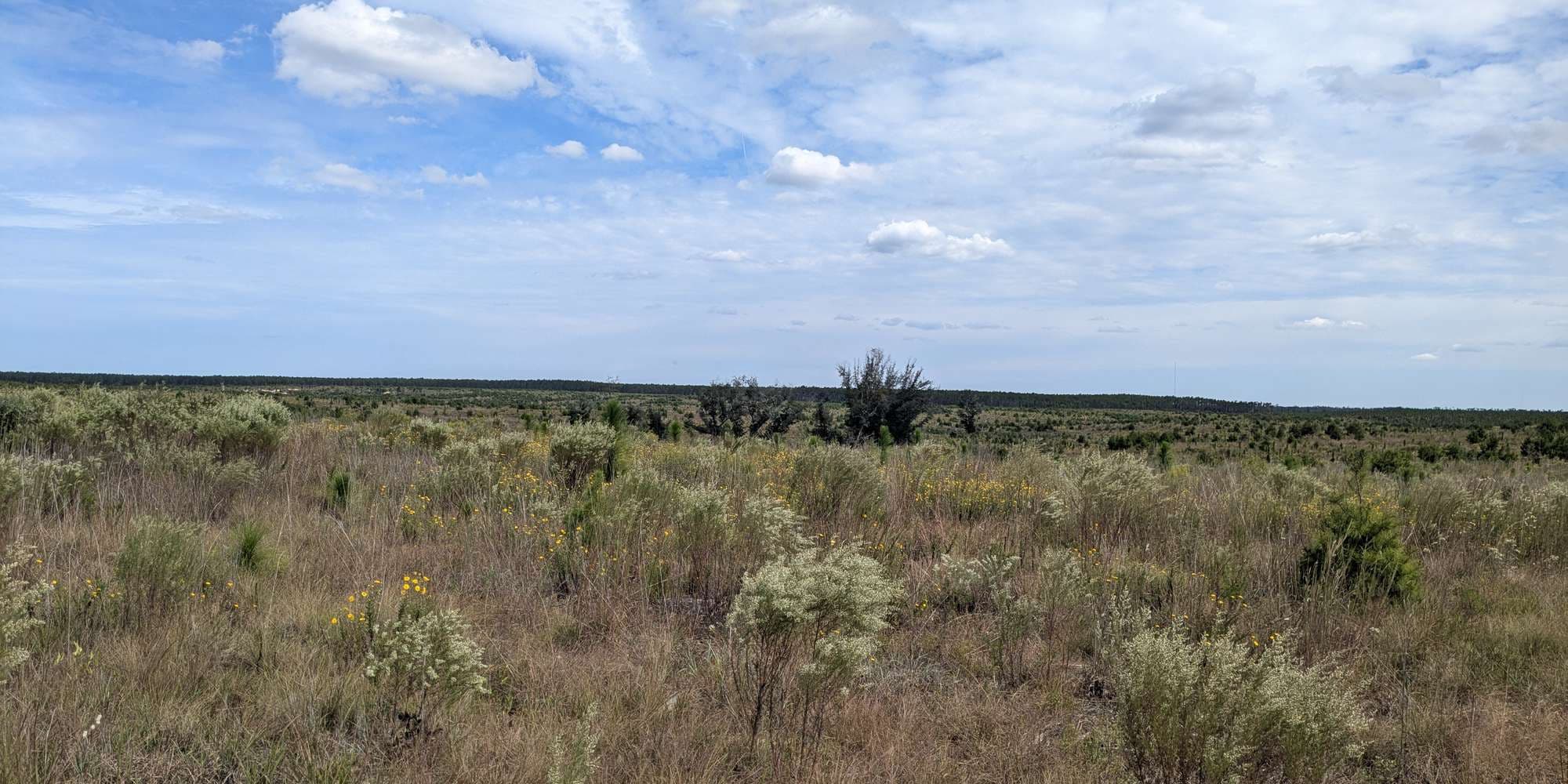 Second image to compare