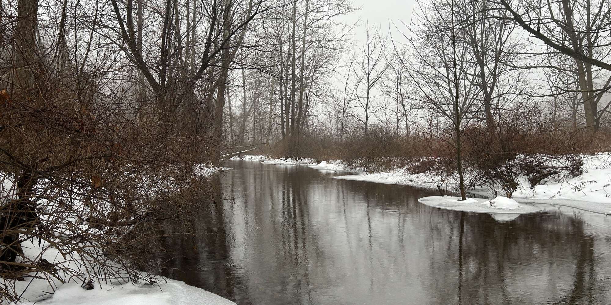 Second image to compare