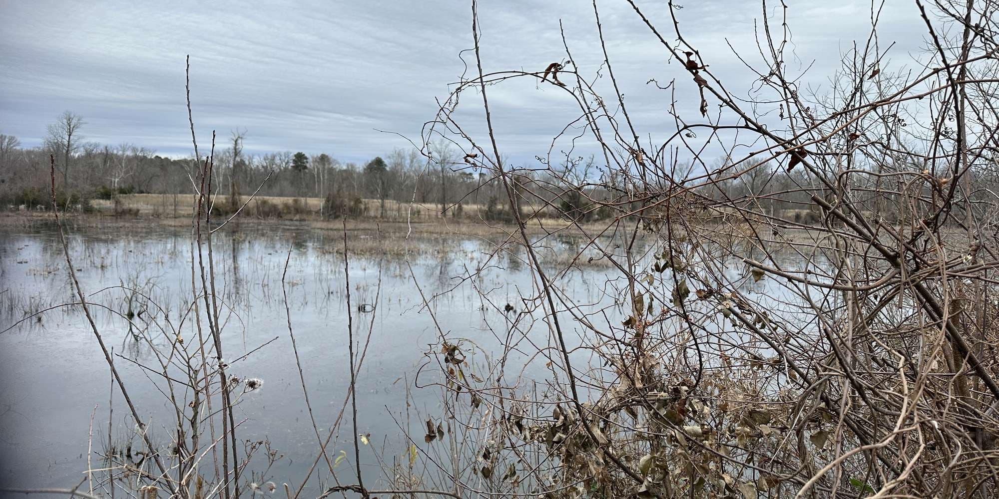 Second image to compare