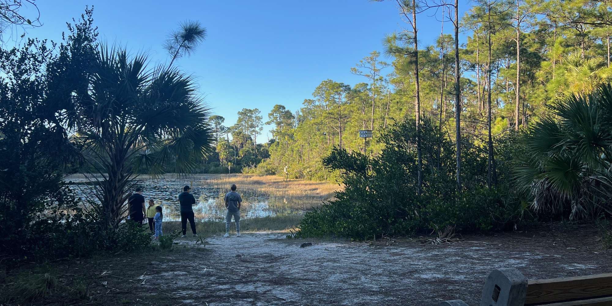 Second image to compare