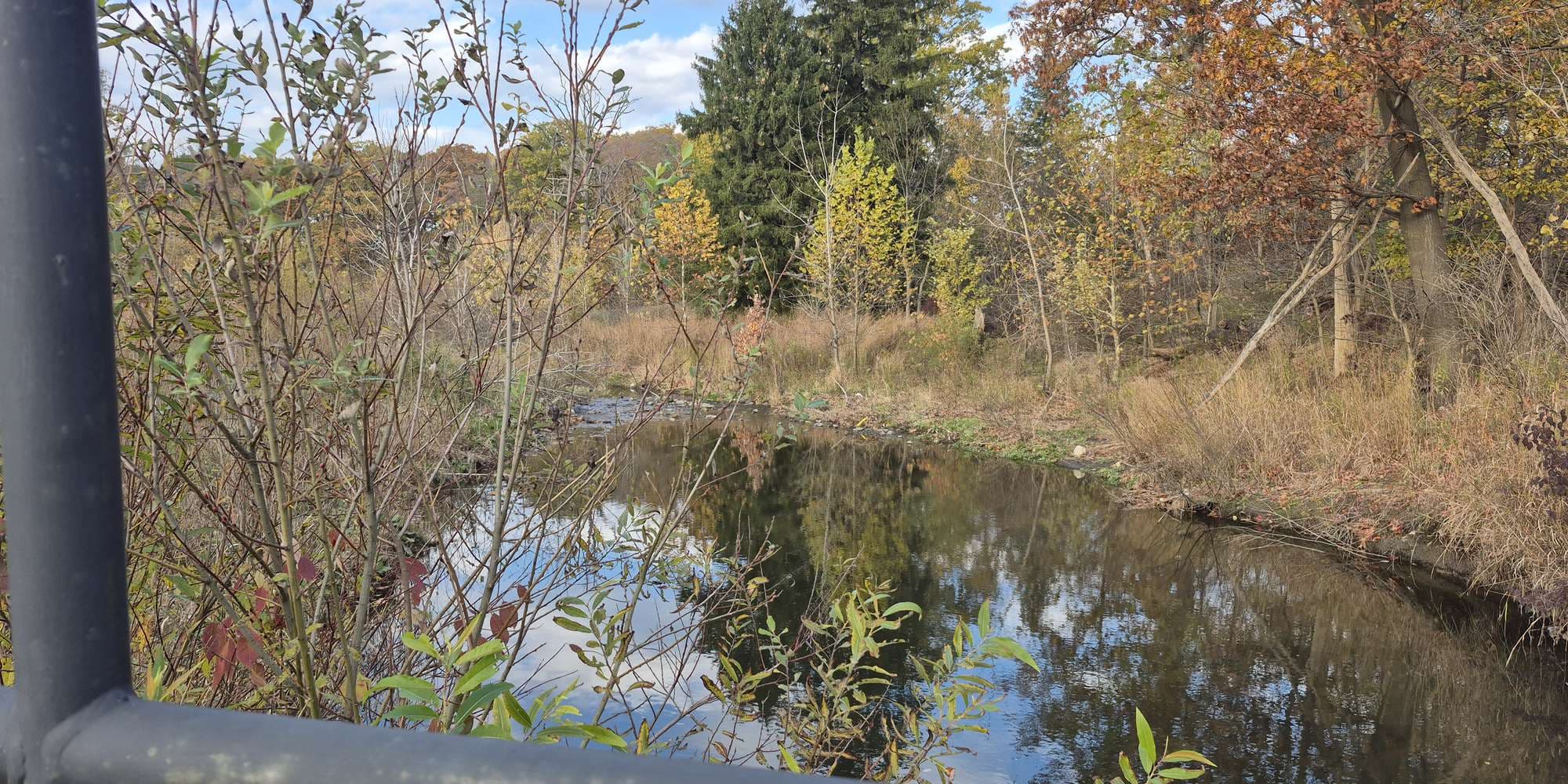 Second image to compare