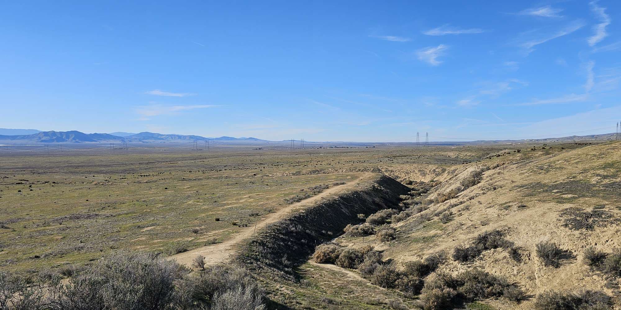 Second image to compare