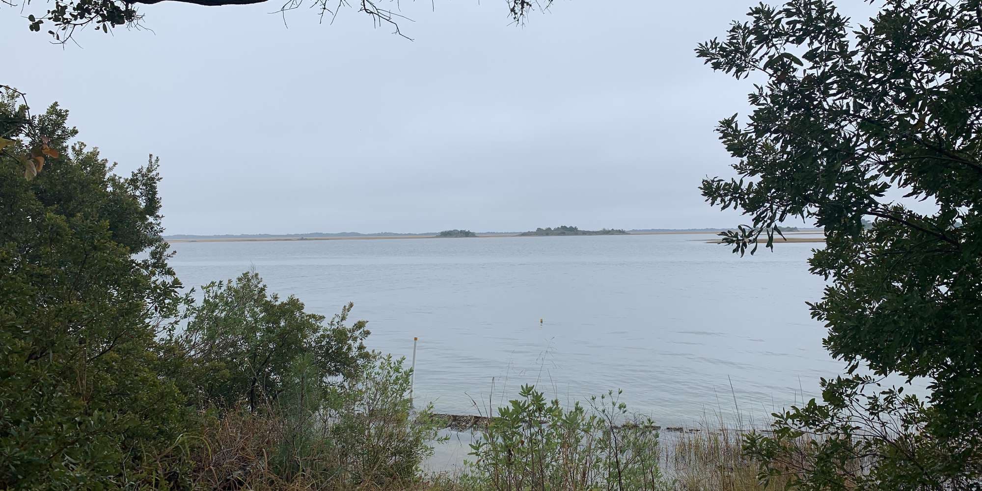 Second image to compare