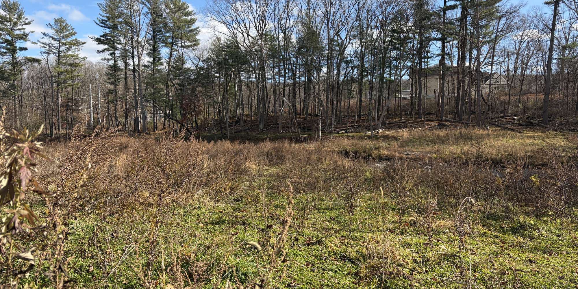 Second image to compare