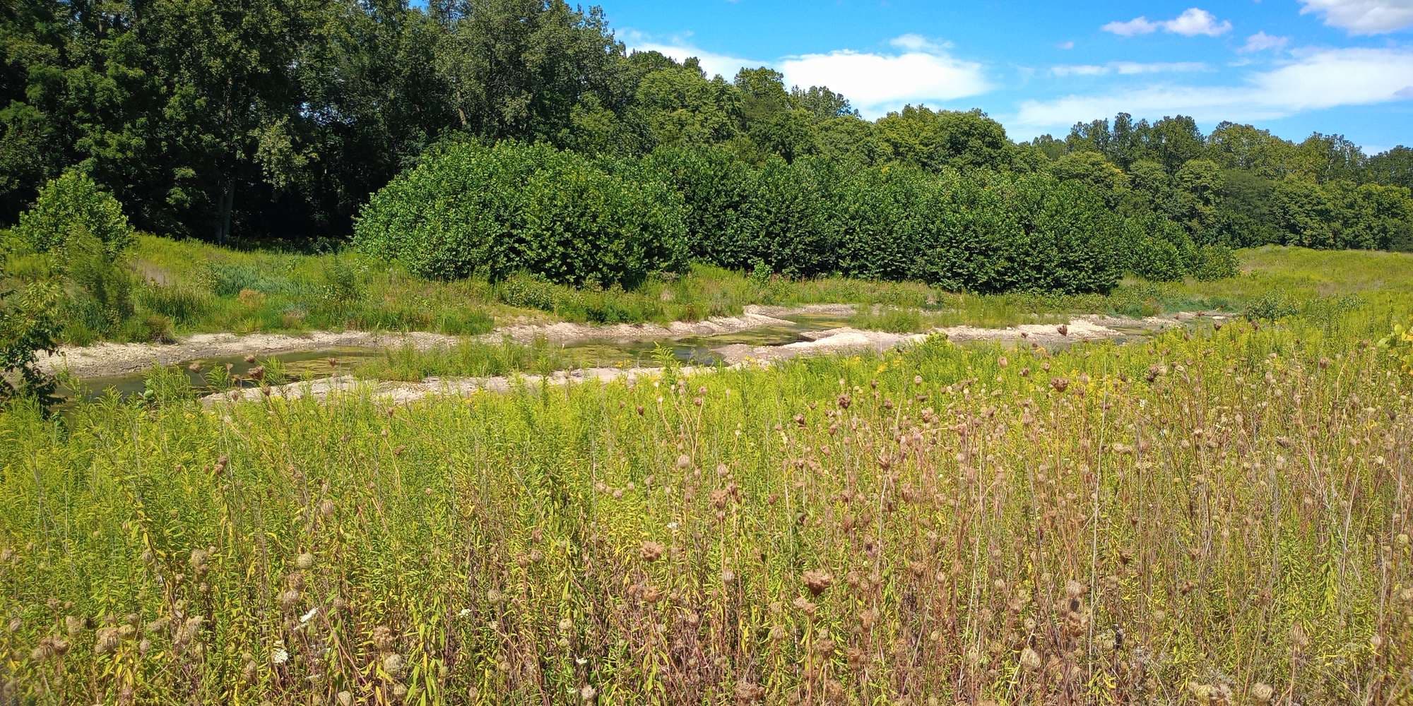 Second image to compare