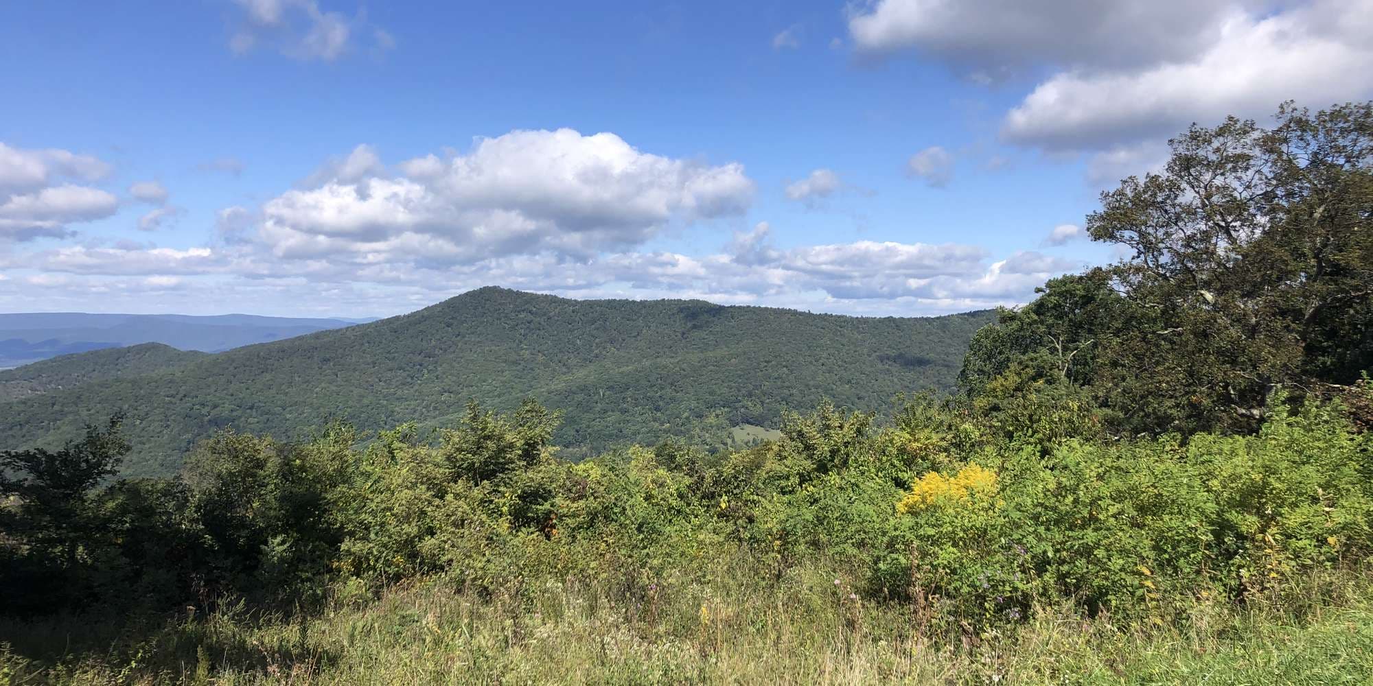 First image to compare