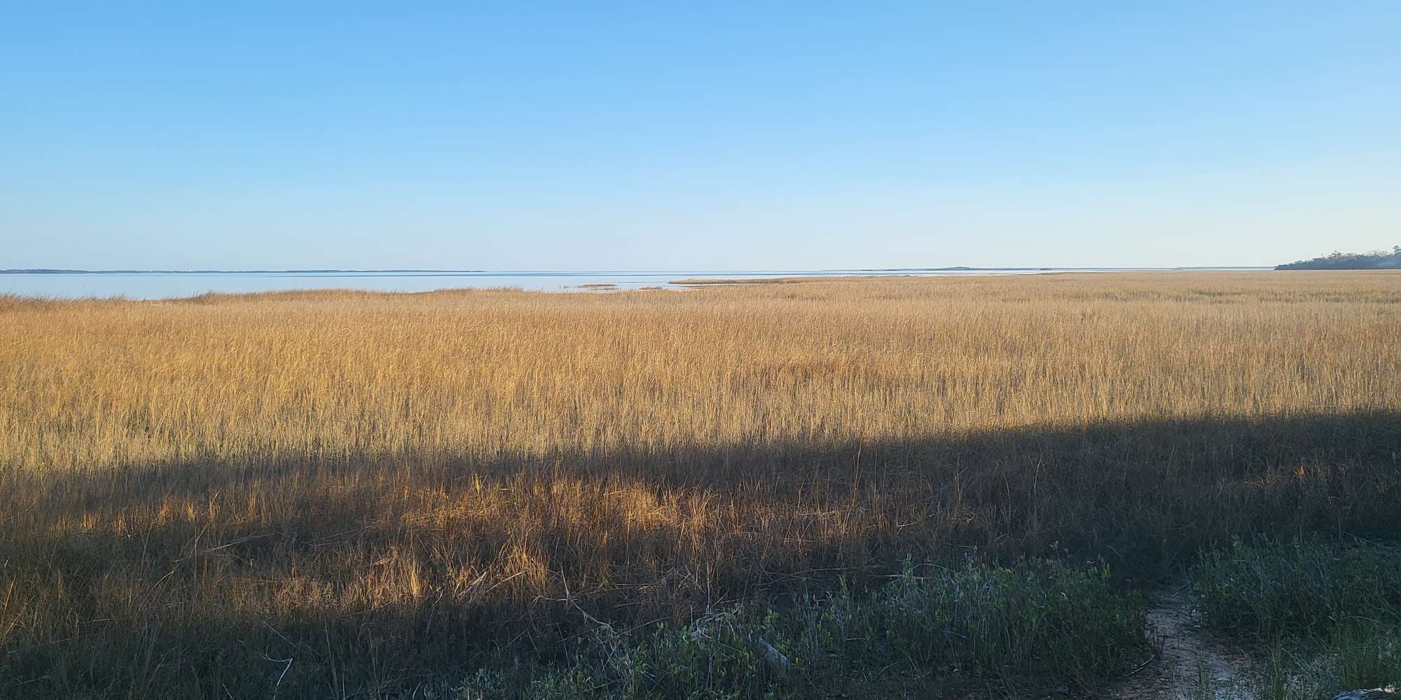 Second image to compare