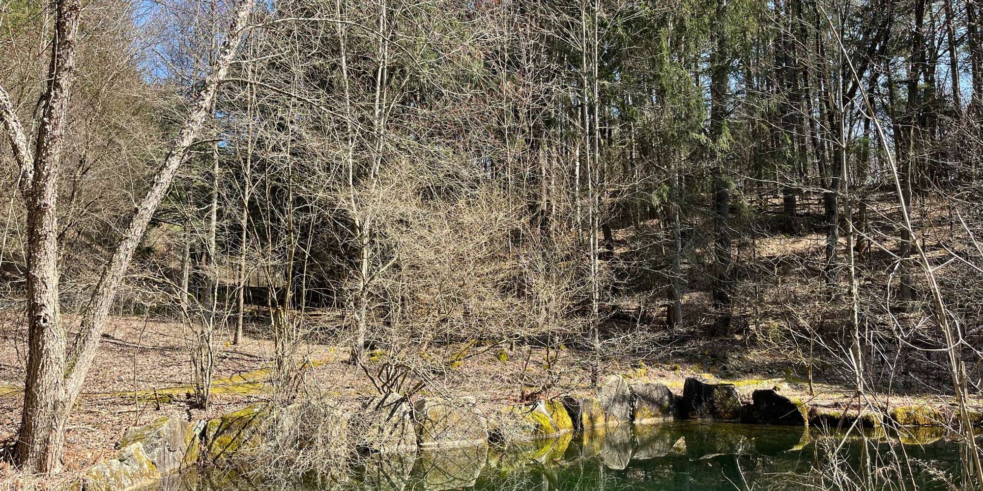 First image to compare