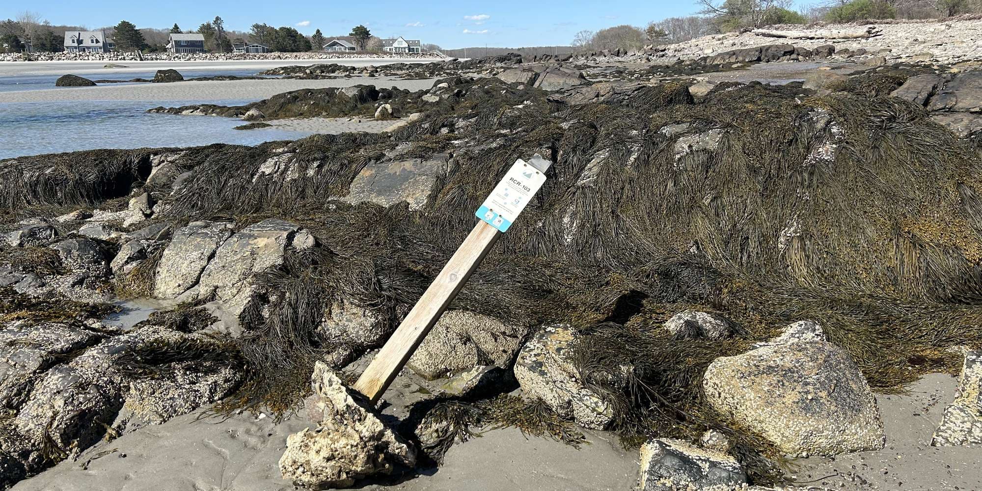 Second image to compare