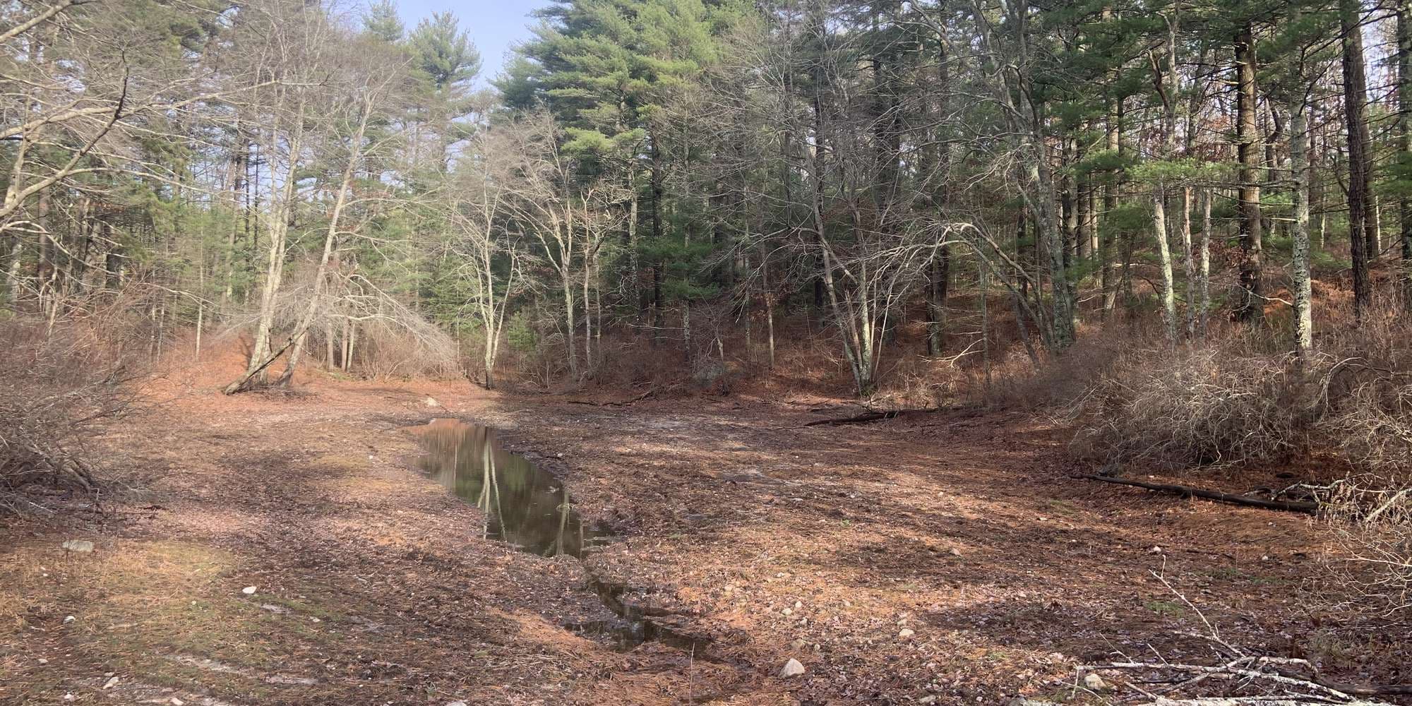 First image to compare