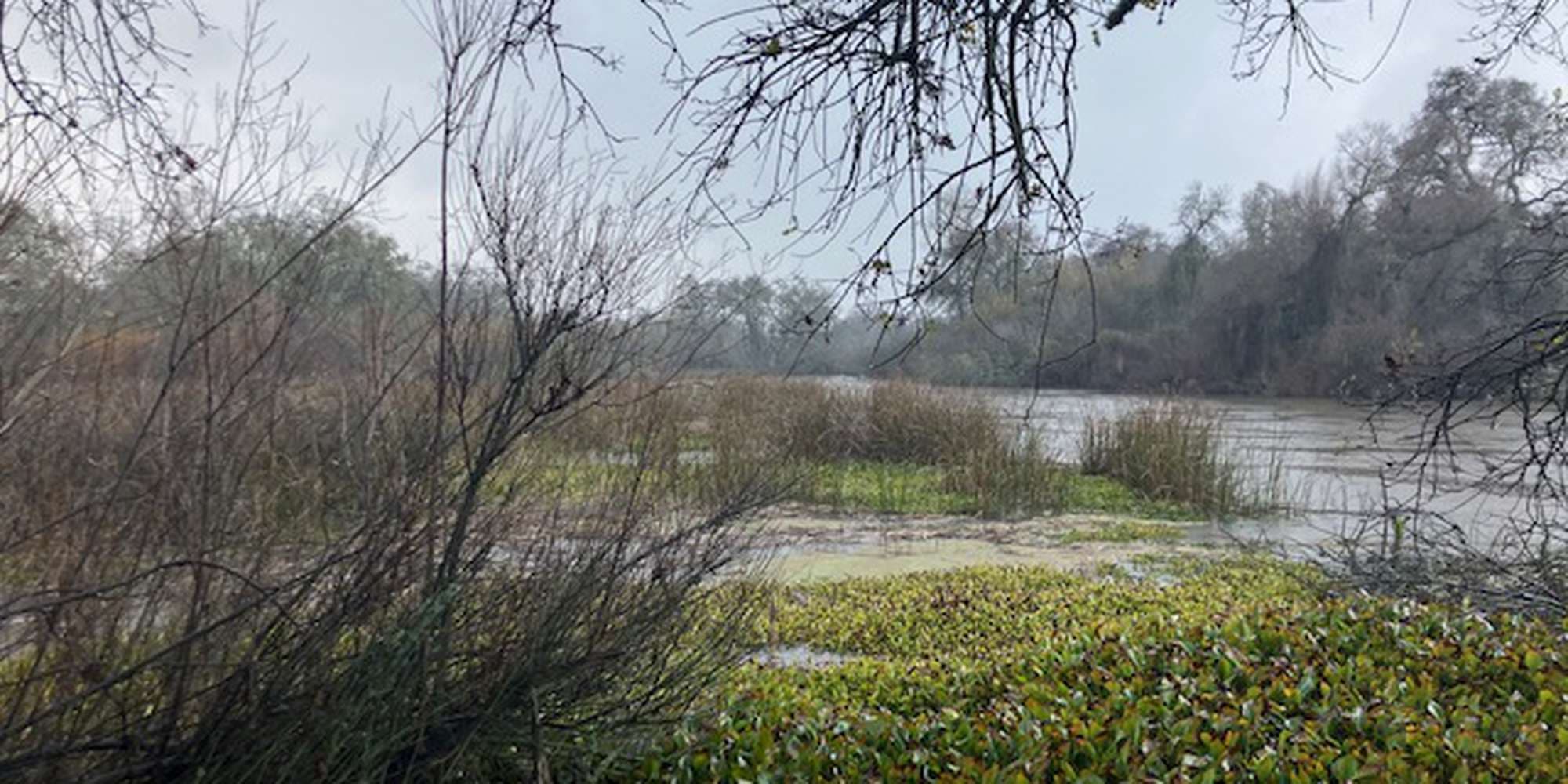 Second image to compare